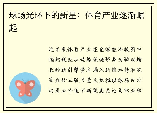 球场光环下的新星：体育产业逐渐崛起