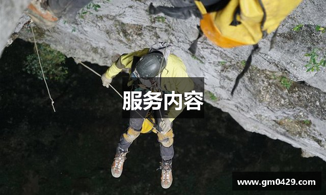 服务内容